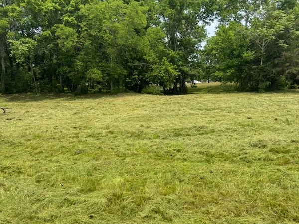 a view of yard with green space