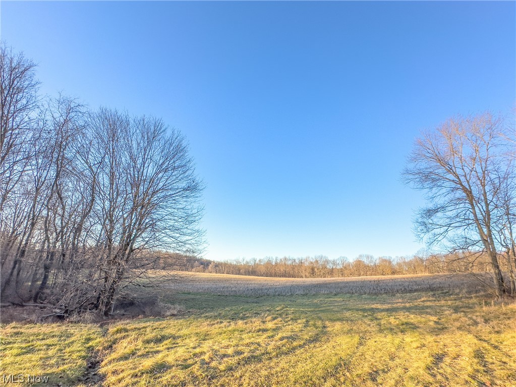 Repik Road Bethesda, OH 43719 - Photo 18 of 25 Gallery Image 18