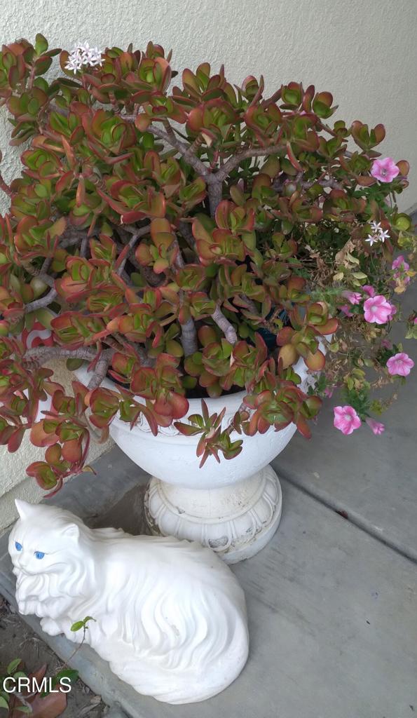 32650 The Old Road Castaic, CA 91384 - Photo 30 of 31 a view of a vase of flowers sitting on a table