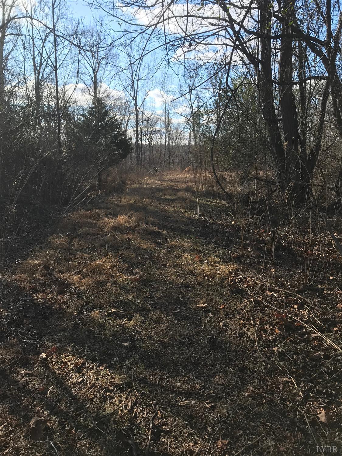 1147 Stratford Road Lynchburg, VA 24502 - Photo 11 of 12 a view of outdoor space and trees
