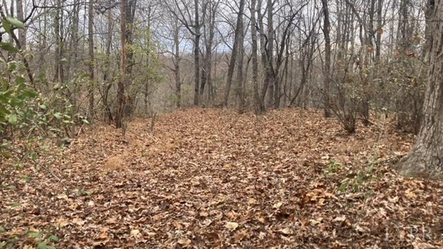 1147 Stratford Road Lynchburg, VA 24502 - Photo 2 of 12 a view of wooden fence