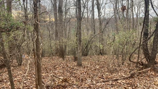 1147 Stratford Road Lynchburg, VA 24502 - Photo 3 of 12 a view of a pathway of a yard