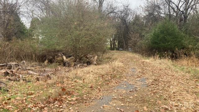 1147 Stratford Road Lynchburg, VA 24502 - Photo 4 of 12 a view of a yard with trees