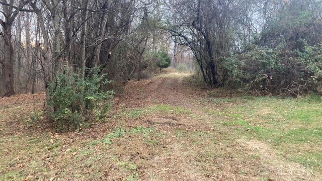 1147 Stratford Road Lynchburg, VA 24502 - Photo 5 of 12 a view of a yard with plants and trees