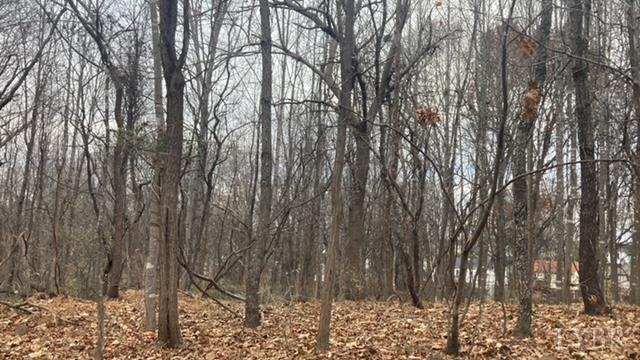 1147 Stratford Road Lynchburg, VA 24502 - Photo 7 of 12 a backyard of a house with lots of green space