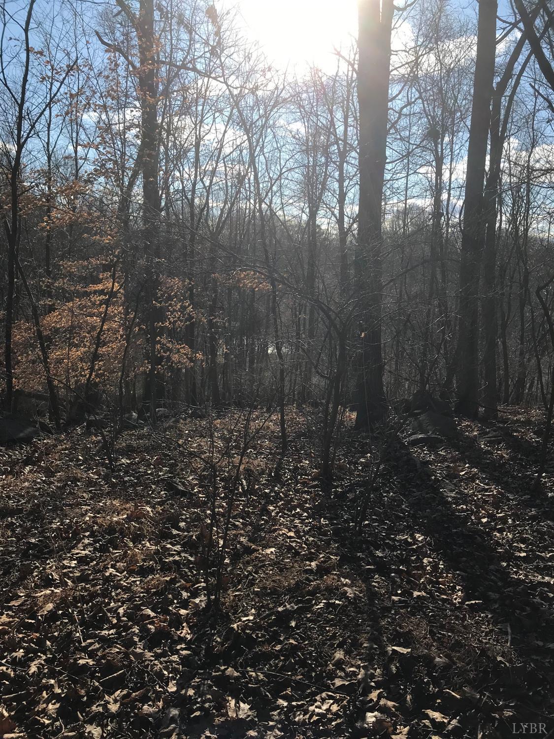 1147 Stratford Road Lynchburg, VA 24502 - Photo 10 of 12 a view of a yard