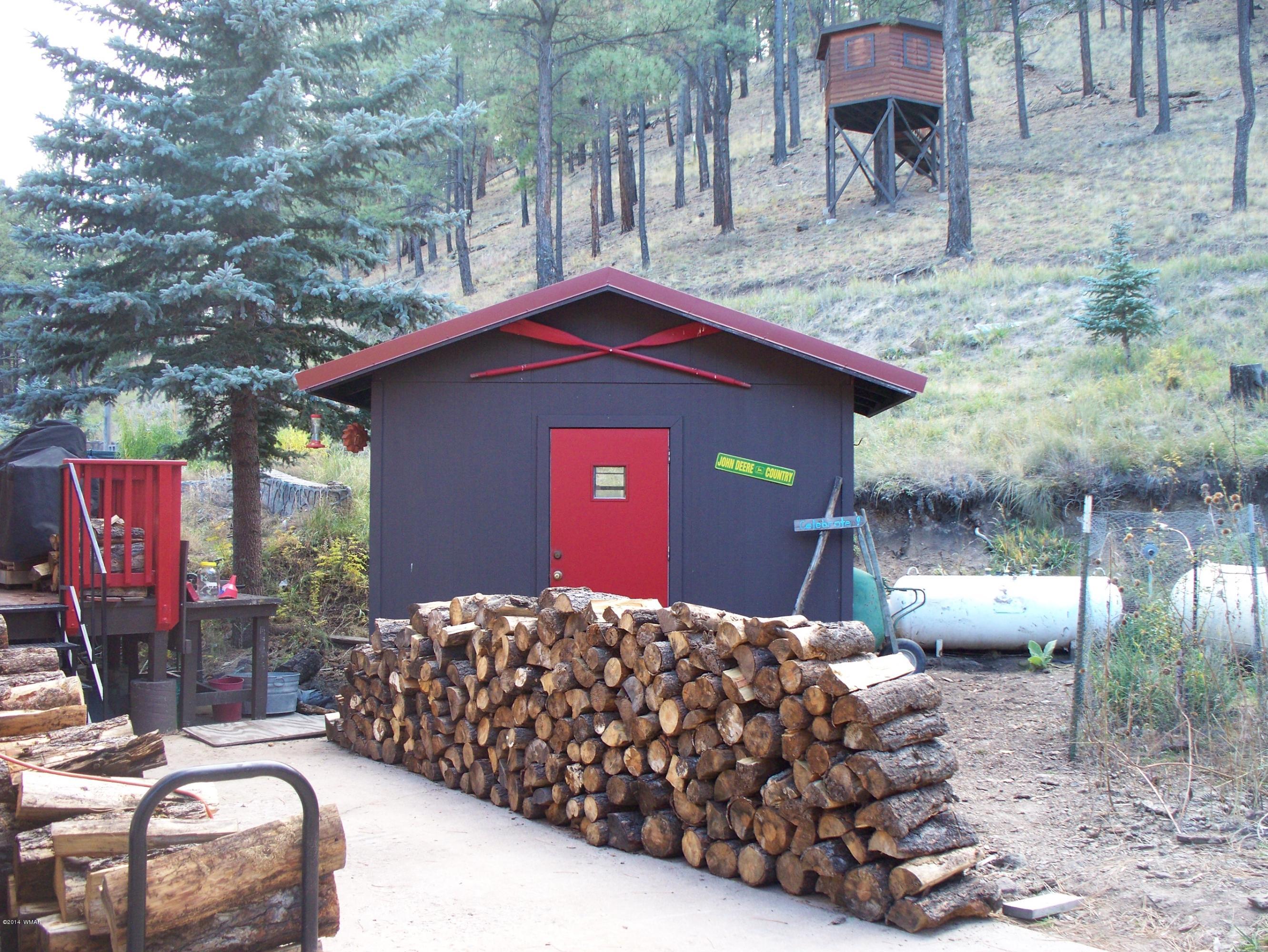 103 Hall Creek Road Greer, AZ 85927 - Photo 12 of 29
