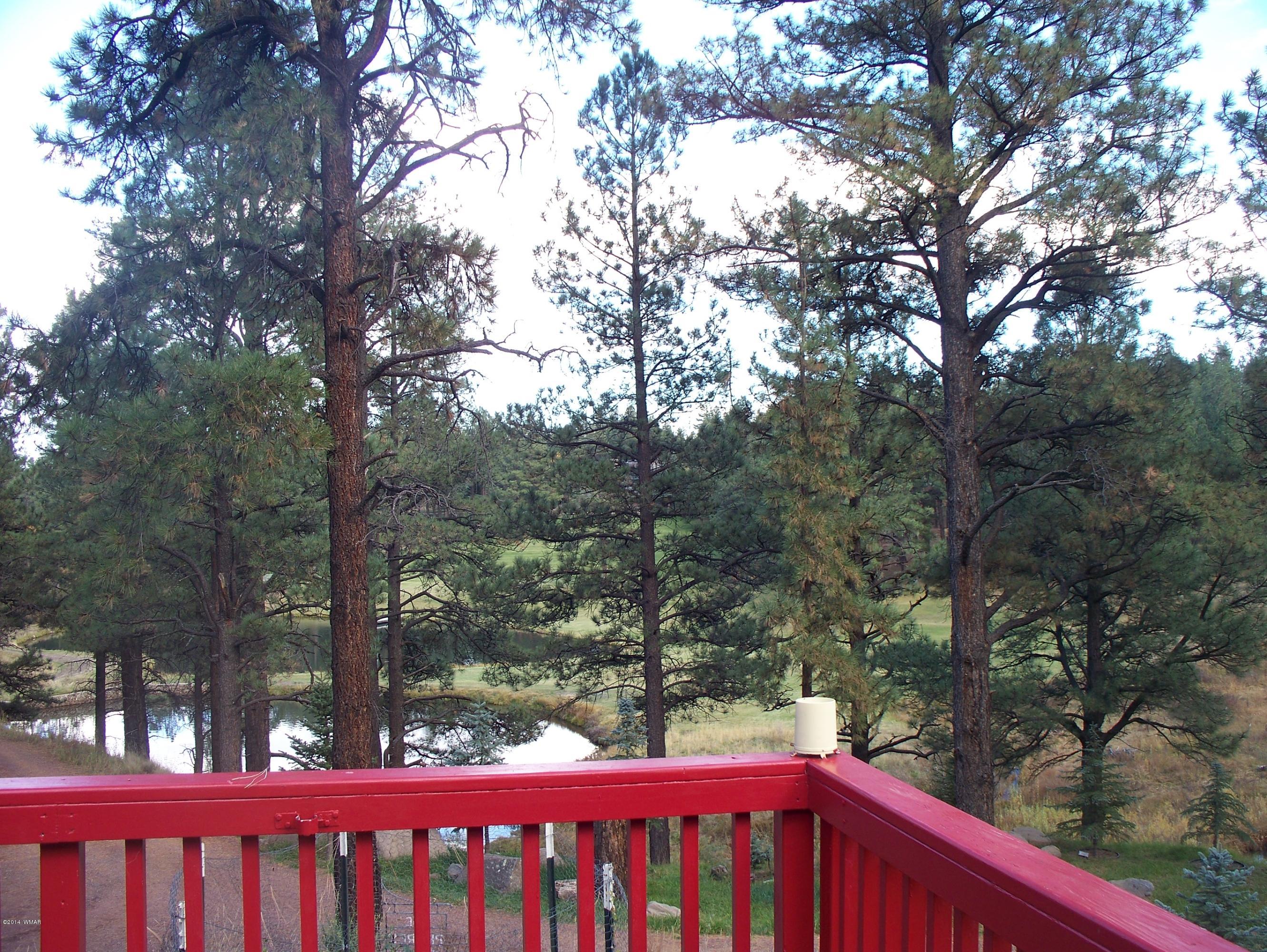103 Hall Creek Road Greer, AZ 85927 - Photo 6 of 29