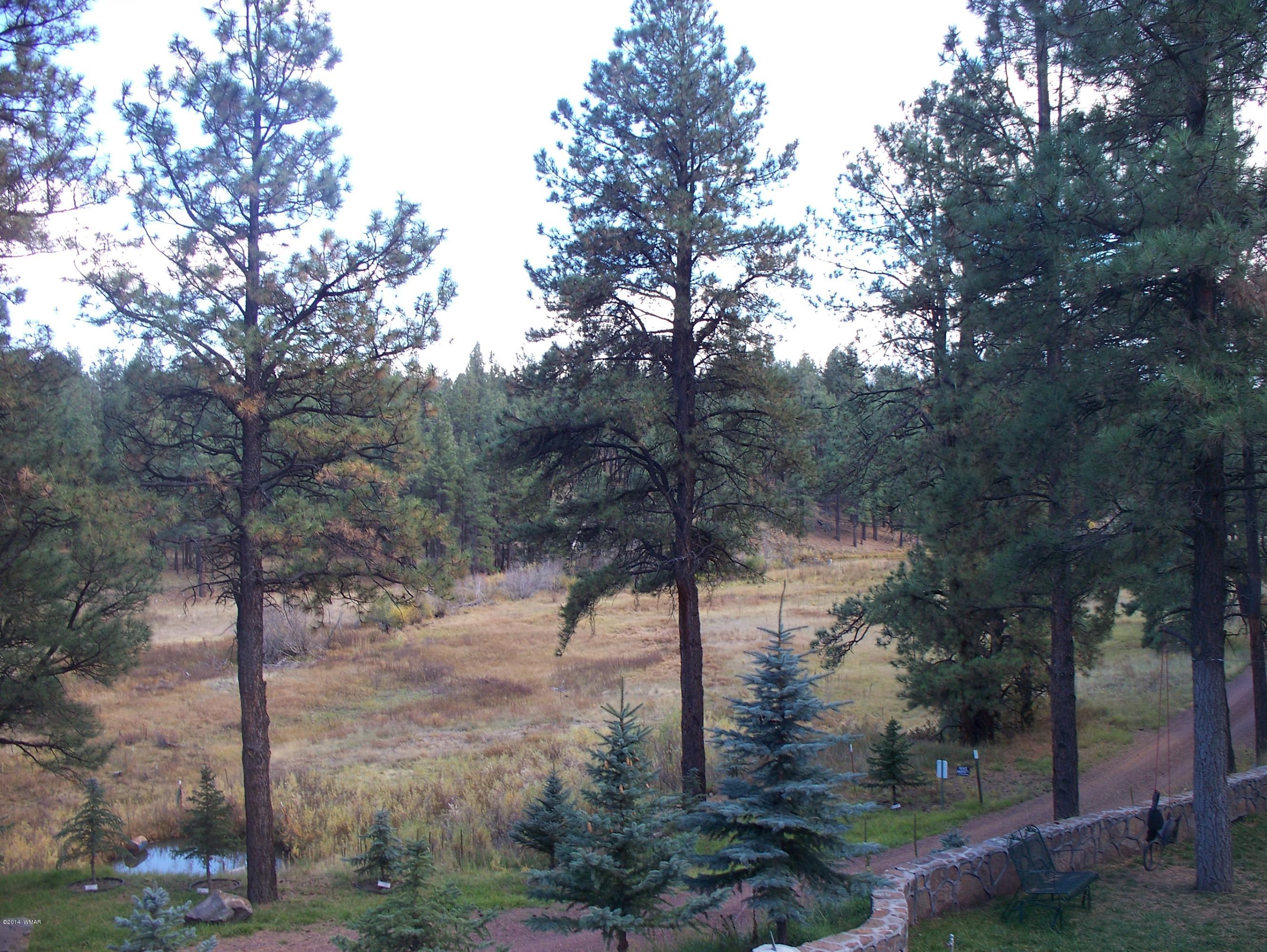 103 Hall Creek Road Greer, AZ 85927 - Photo 7 of 29