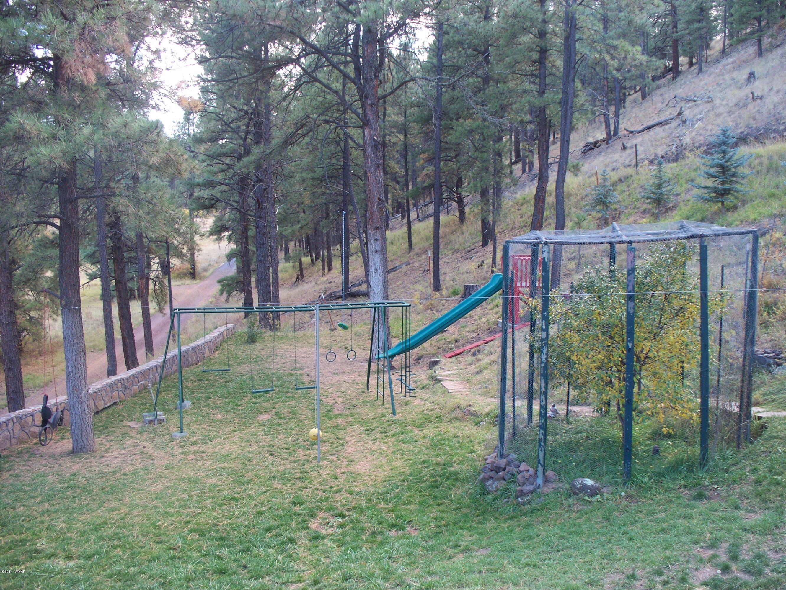 103 Hall Creek Road Greer, AZ 85927 - Photo 8 of 29