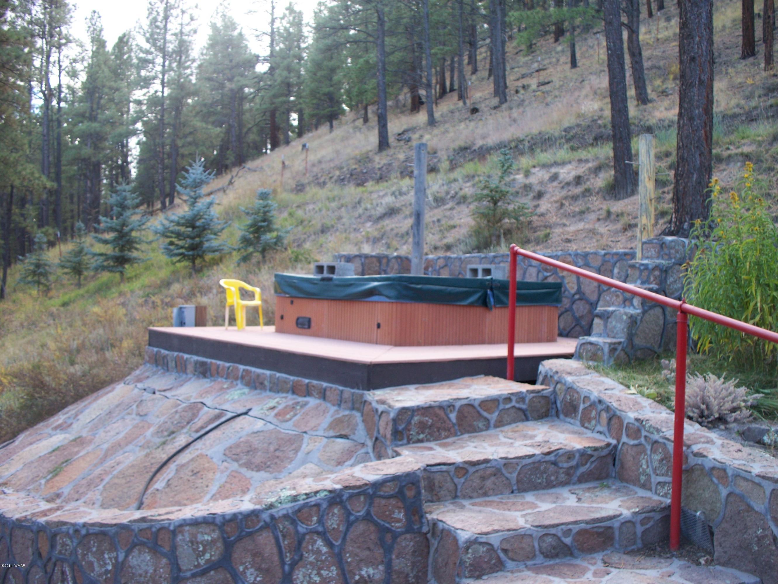 103 Hall Creek Road Greer, AZ 85927 - Photo 9 of 29