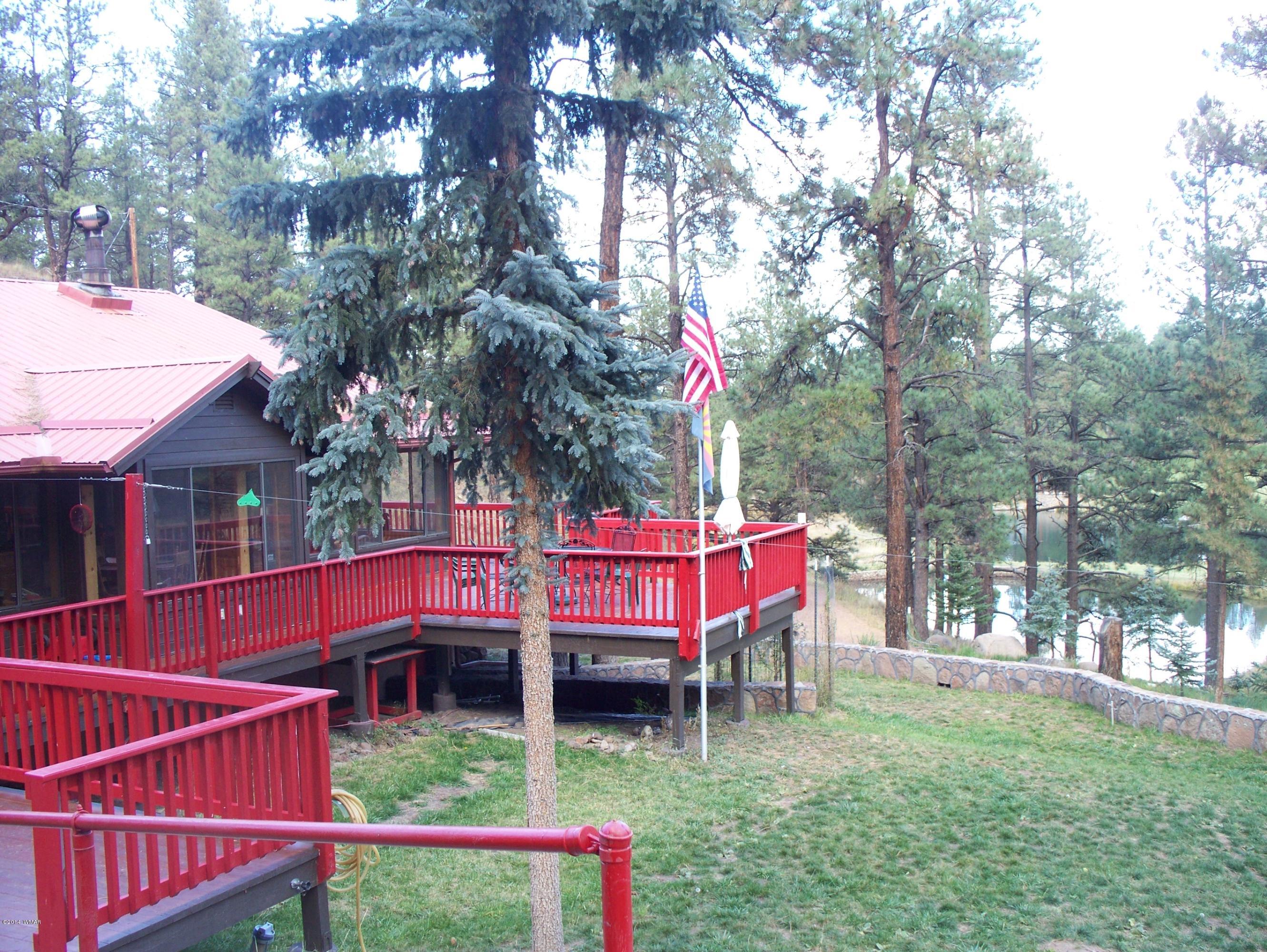 103 Hall Creek Road Greer, AZ 85927 - Photo 10 of 29