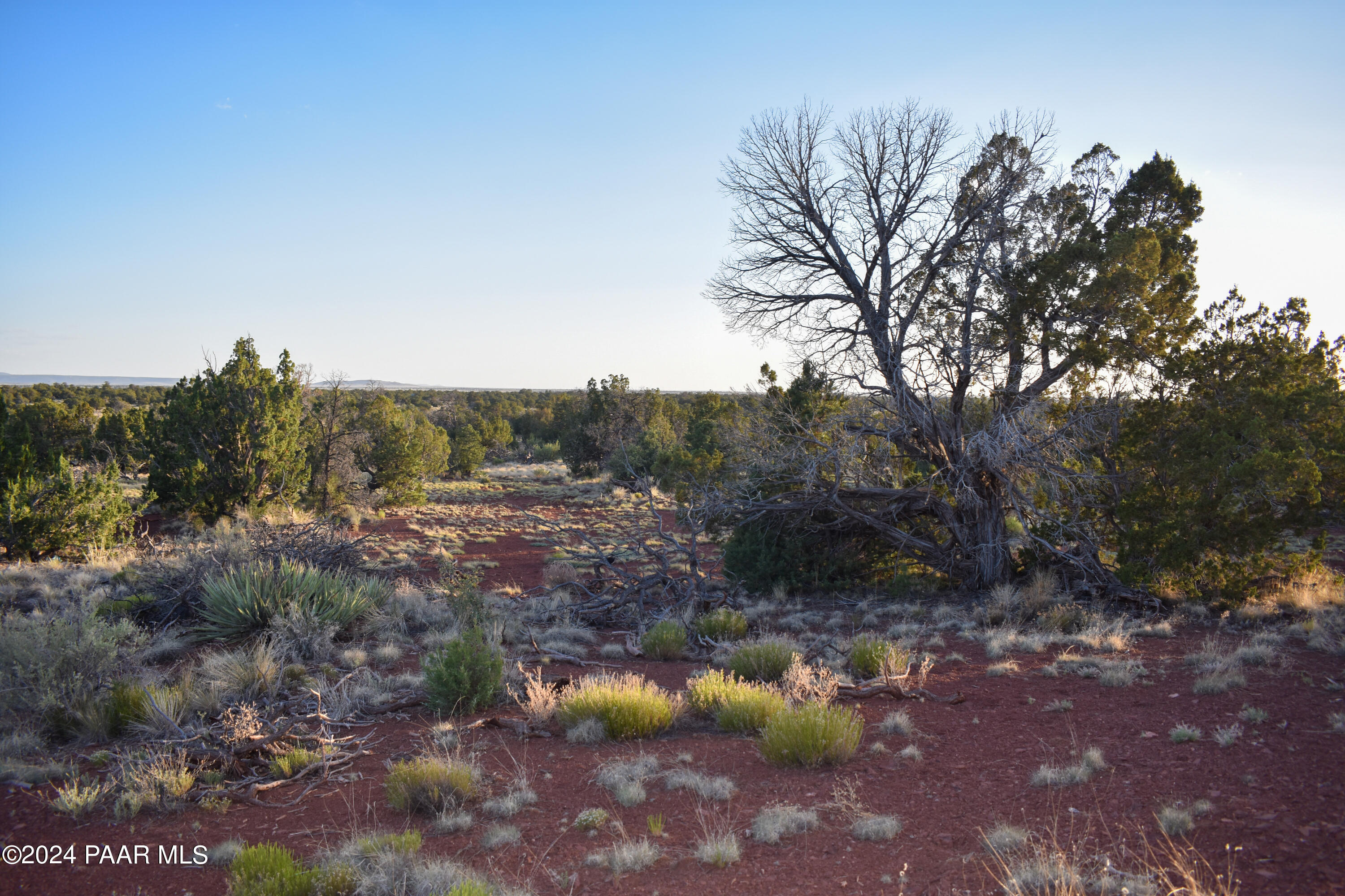 574 South Spruce Road Williams, AZ 86046 - Photo 5 of 9 Aerial