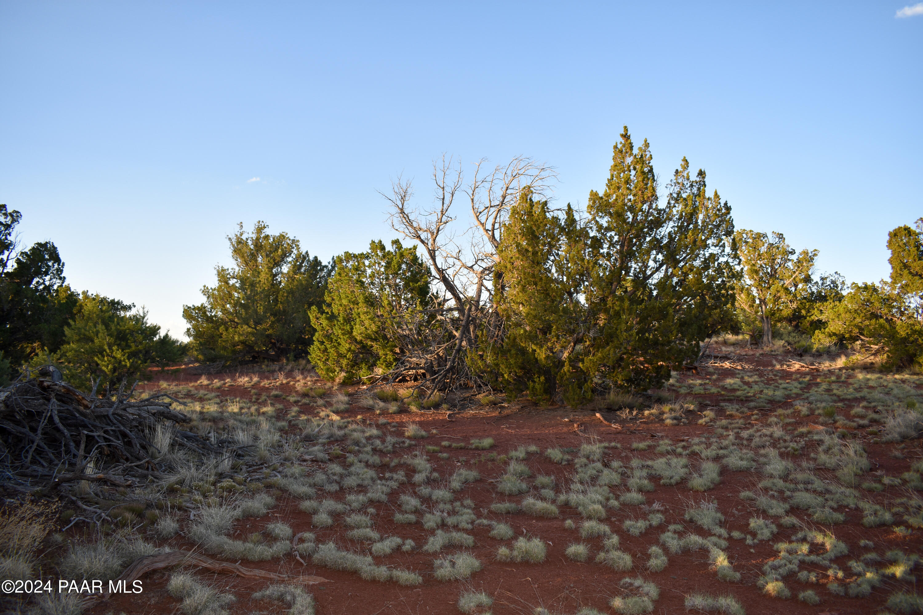 574 South Spruce Road Williams, AZ 86046 - Photo 8 of 9 Aerial