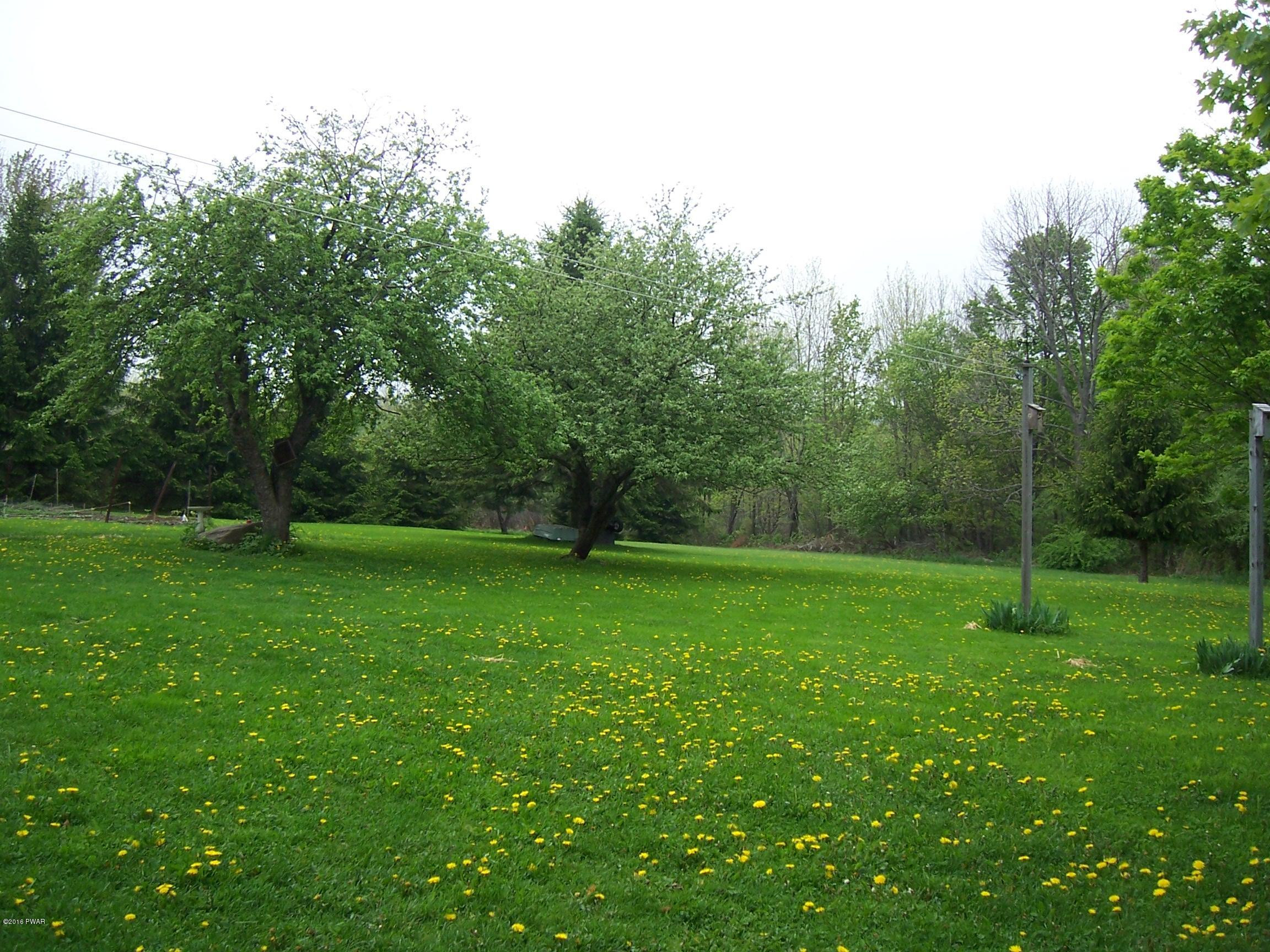 41 Como Road Lakewood, PA 18439 - Photo 15 of 22 BACK YARD
