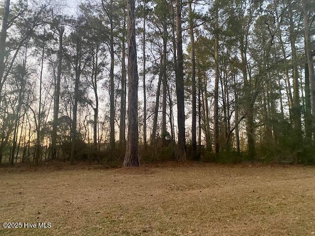 Lot #39 Sunset Road Wallace, NC 28466 - Photo 1 of 3 IMG_8109