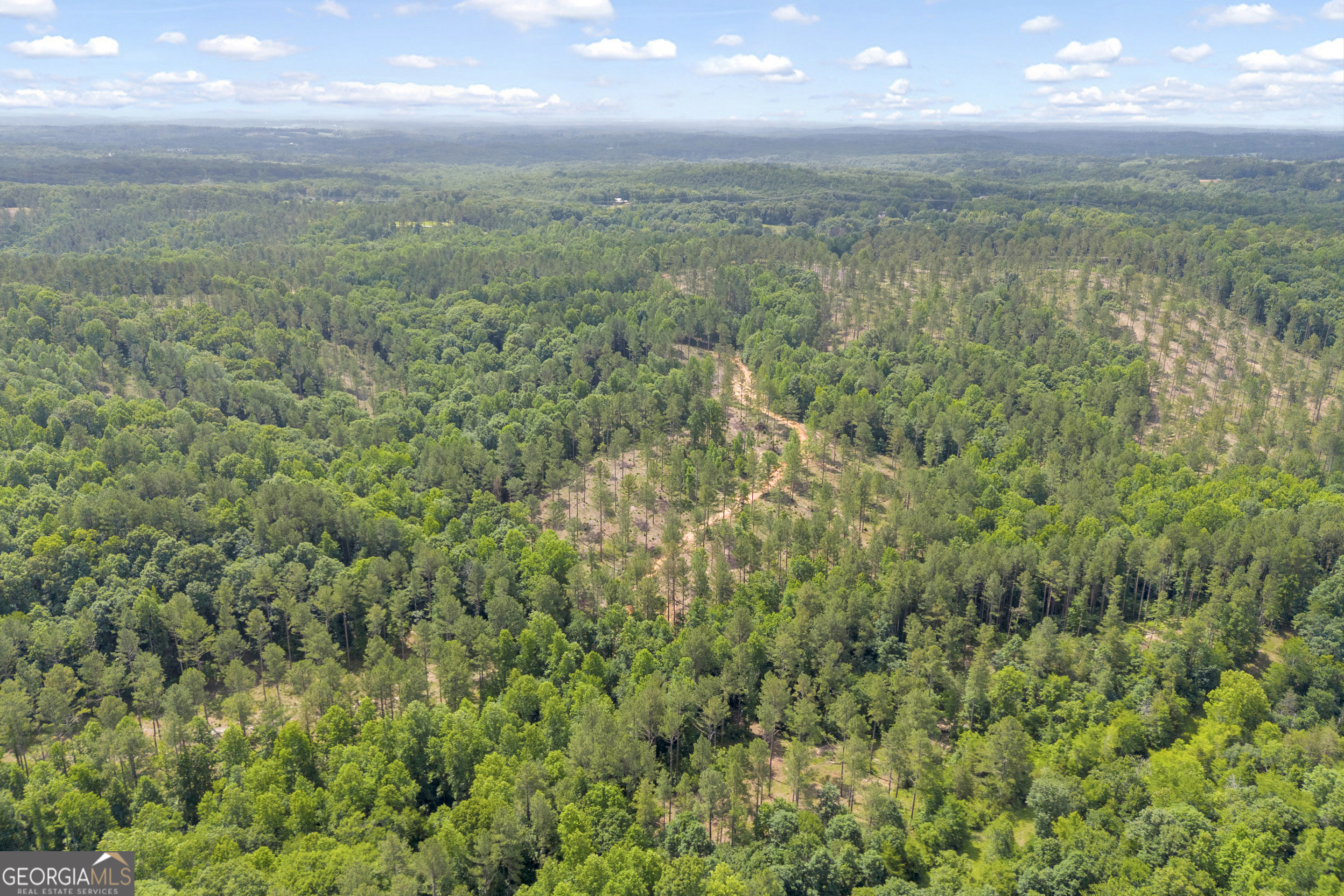0 Mt Sinai Road, Unit LOT 1 Lula, GA 30554 - Photo 13 of 67