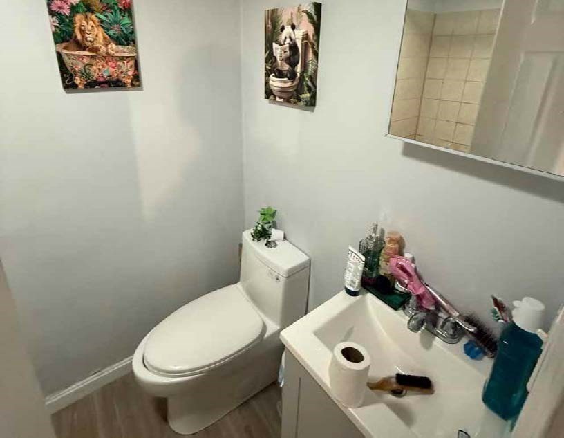 8 Cherry Street Lowell, MA 01852 - Photo 11 of 17 a bathroom with a sink mirror and toilet