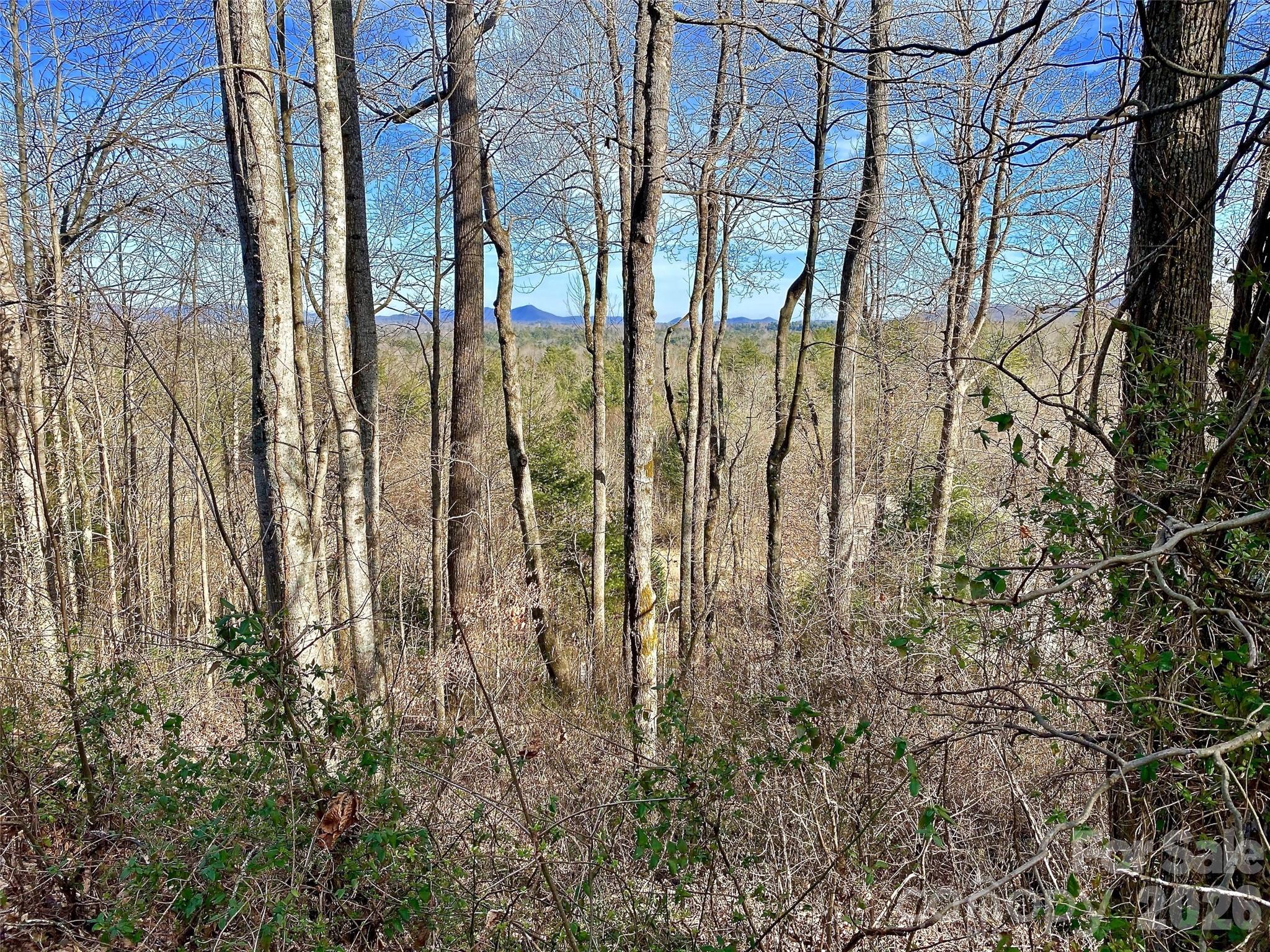 174 High Road Overlook, Unit 24 Hendersonville, NC 28739 - Photo 1 of 4