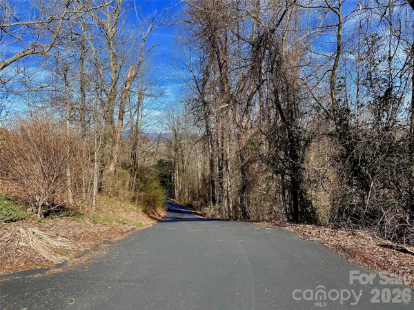 a view of a road with a trees