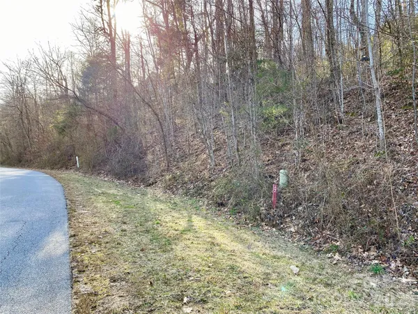 a view of a yard with trees in the background