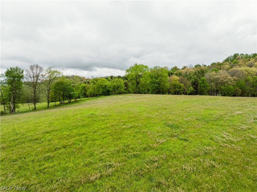 Timmerman Road Bowerston, OH 44695 - Photo 13 of 26