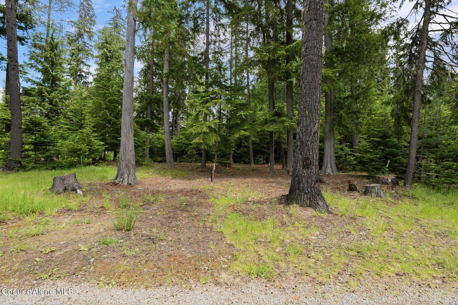 Nna Bruin Road Nordman, ID 83848 - Photo 6 of 44 Enough Room for a Shop