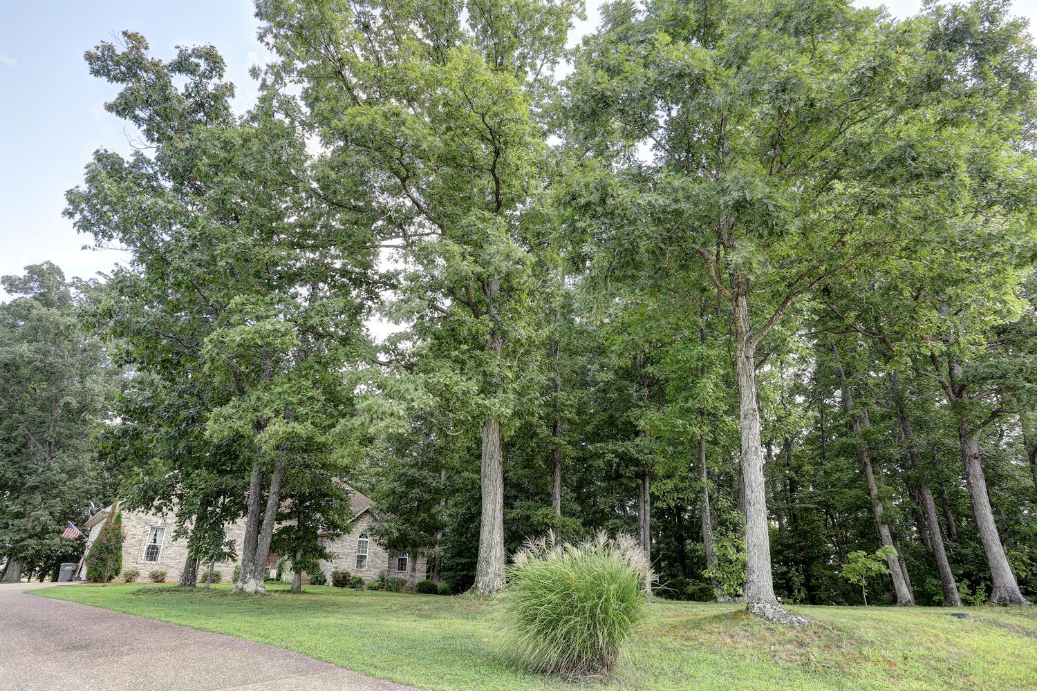 105 Lear Road Portland, TN 37148 - Photo 23 of 25 a view of a field with trees in the background