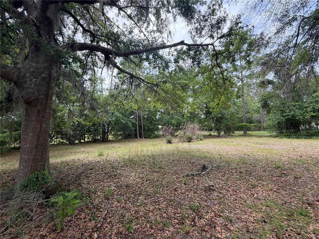 24138 Panther Road Astor, FL 32102 - Photo 8 of 34