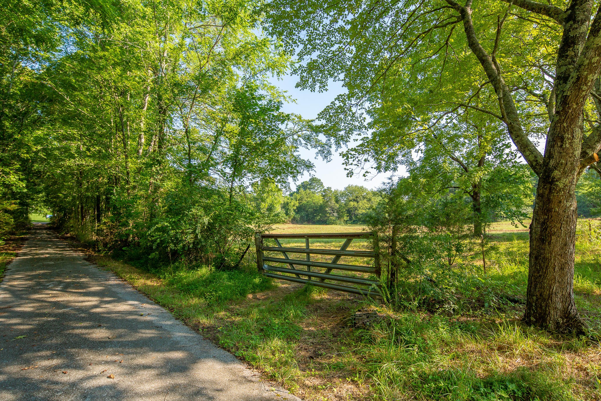 7618 Middle Valley Road Hixson, TN 37343 - Photo 3 of 16 Gallery Image 3