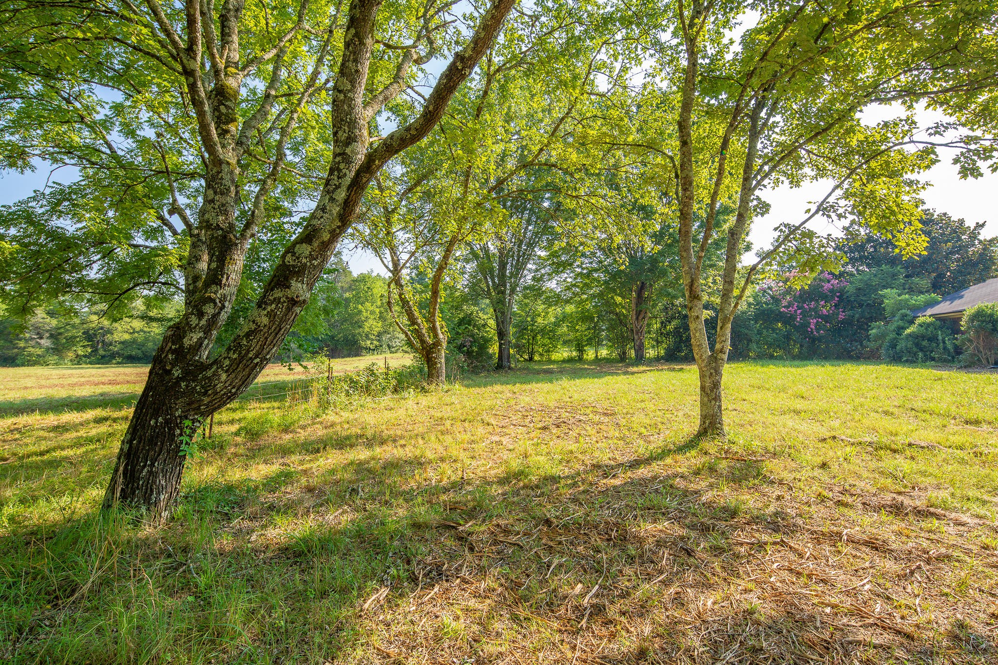 7618 Middle Valley Road Hixson, TN 37343 - Photo 6 of 16 Gallery Image 6