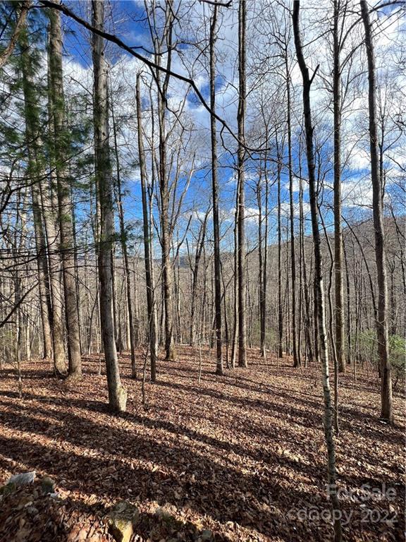 10 Blue Clay Road Spruce Pine, NC 28777 - Photo 22 of 48 Gallery Image 22
