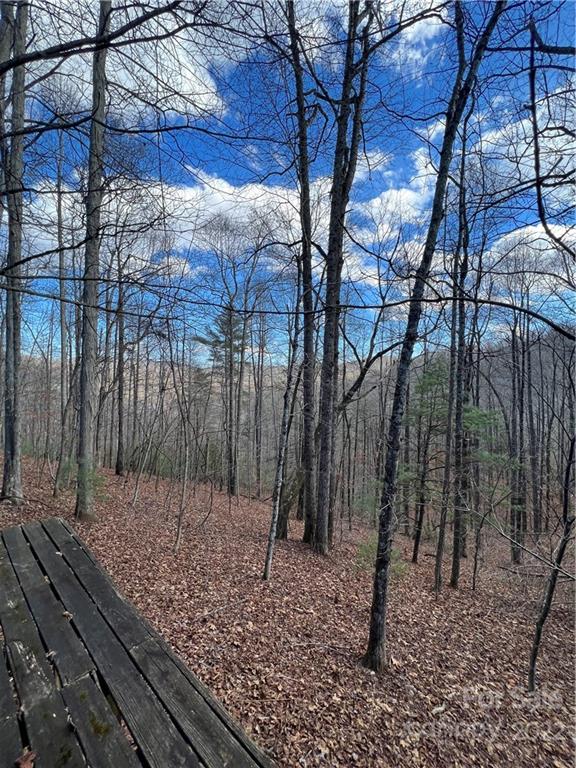 10 Blue Clay Road Spruce Pine, NC 28777 - Photo 35 of 48 Gallery Image 35
