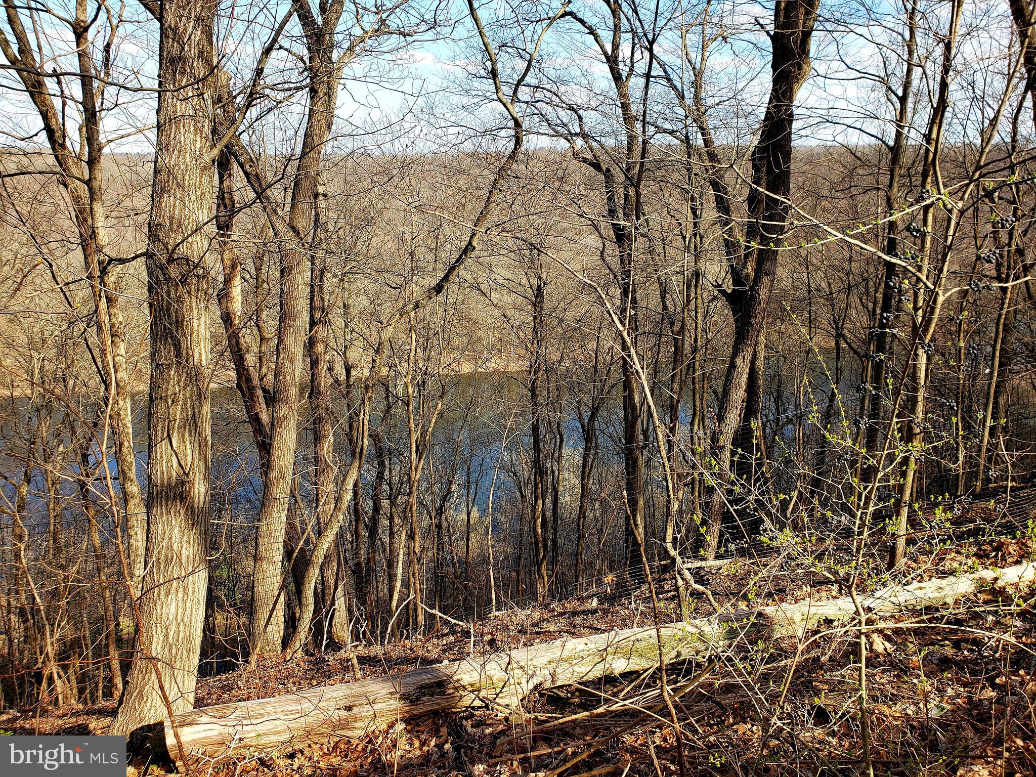 63 Mt Airy Road Pipersville, PA 18947 - Photo 66 of 70 Gallery Image 66