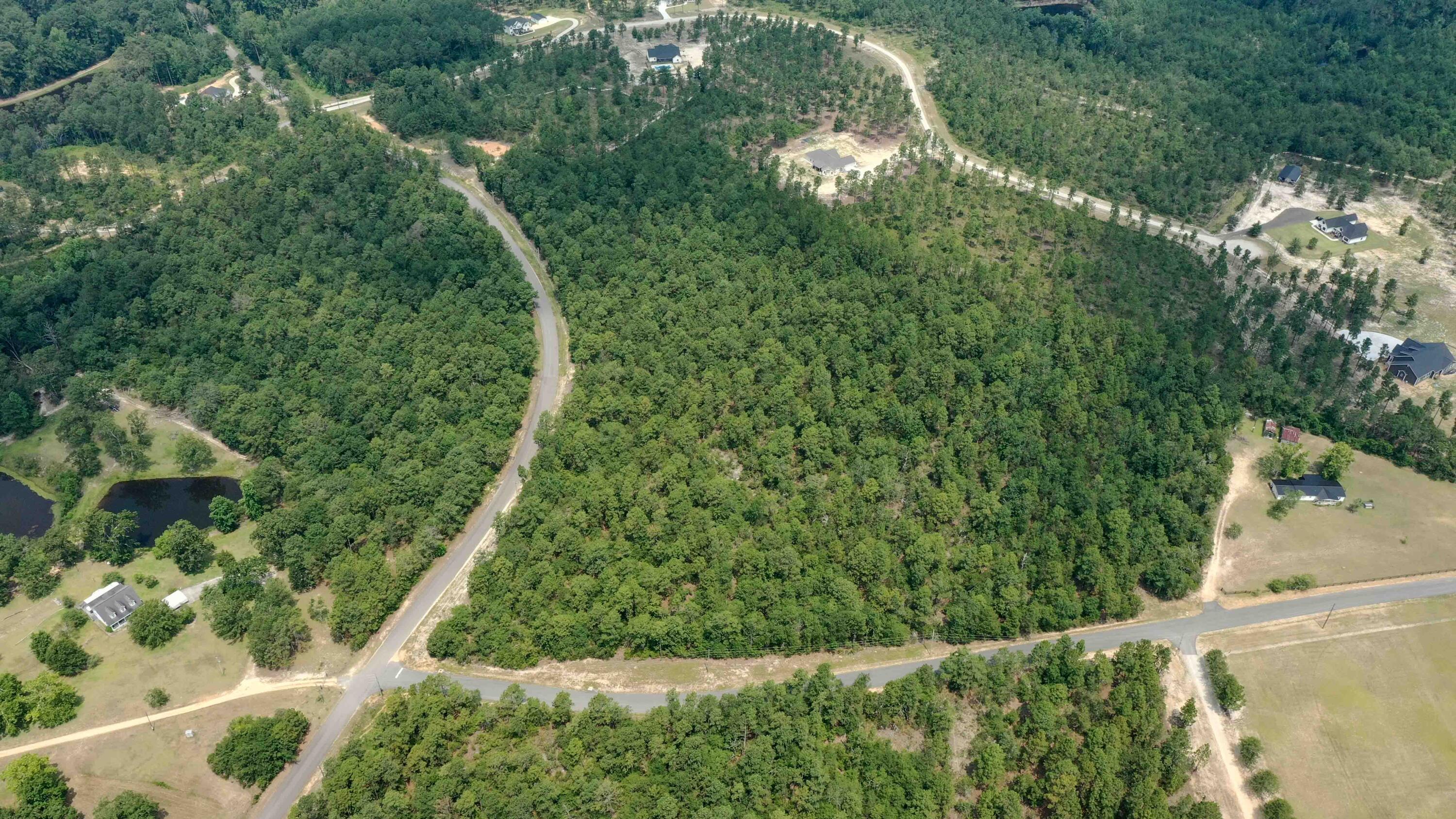 7 Mt Zion Road Williston, SC 29853 - Photo 14 of 15