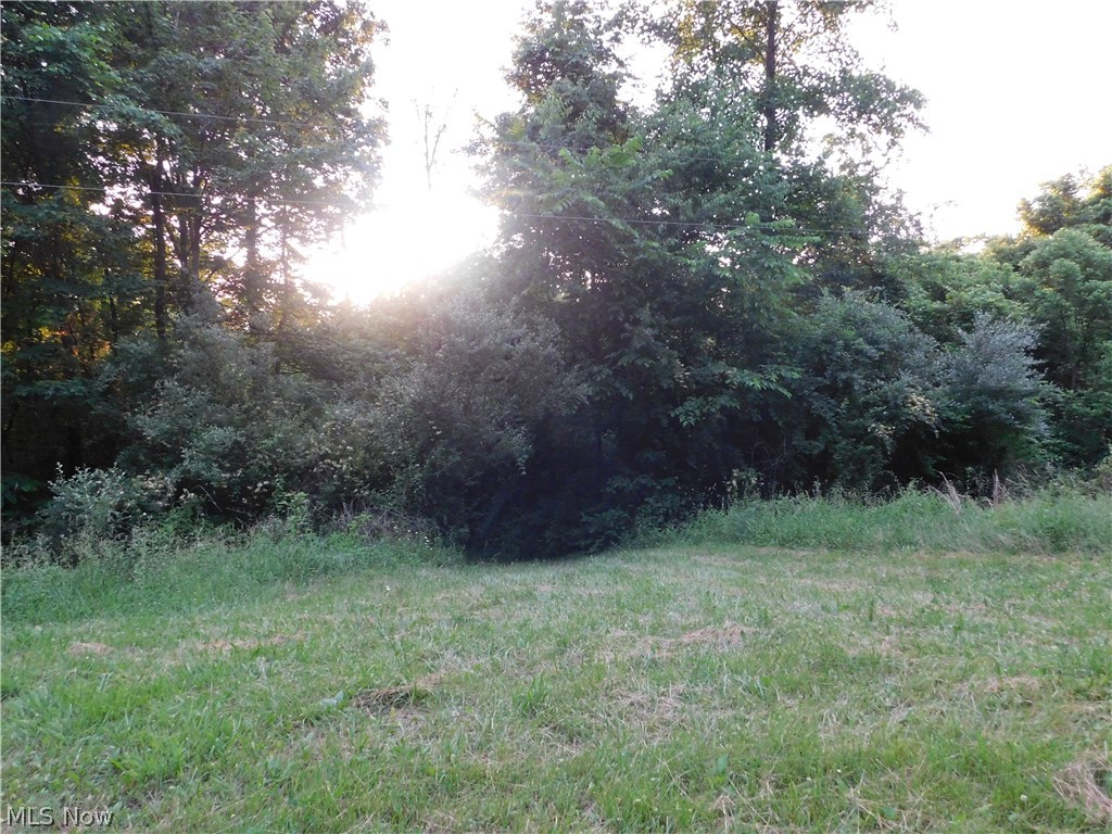 0 Man Of War Road Walker, WV 26180 - Photo 8 of 10 Gallery Image 8