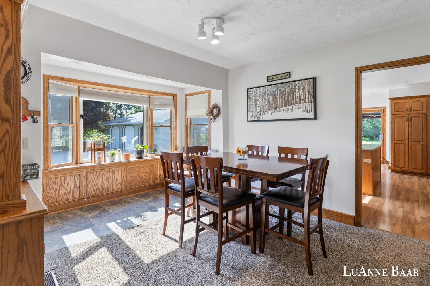 20295 Stanton Road Pierson, MI 49339 - Photo 7 of 39 Spacious Dining Room!