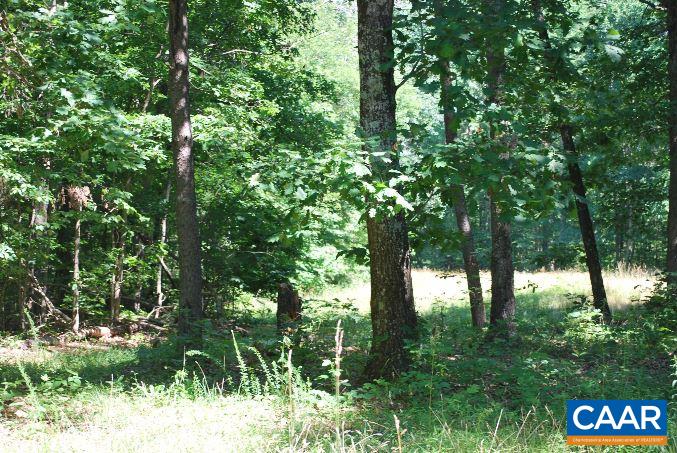 12409 Tower Road Unionville, VA 22567 - Photo 1 of 12 Gallery Image 1