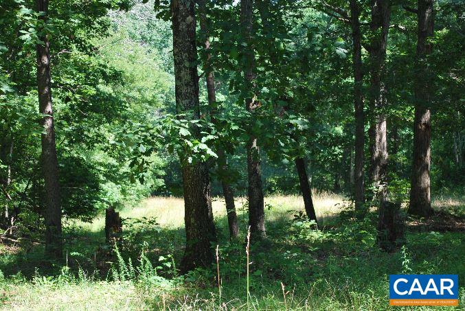 12409 Tower Road Unionville, VA 22567 - Photo 2 of 12 Gallery Image 2