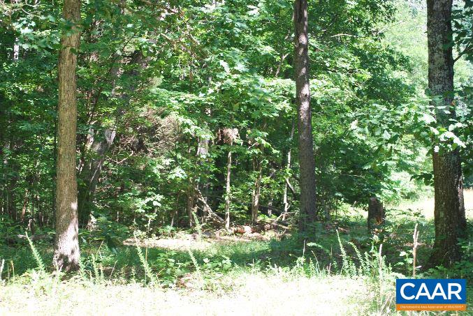 12409 Tower Road Unionville, VA 22567 - Photo 7 of 12 Gallery Image 7