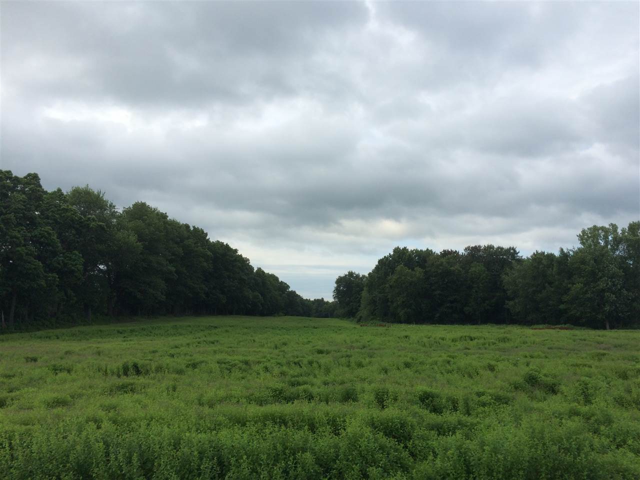 27290 Harrison Road South Bend, IN 46619 - Photo 14 of 16