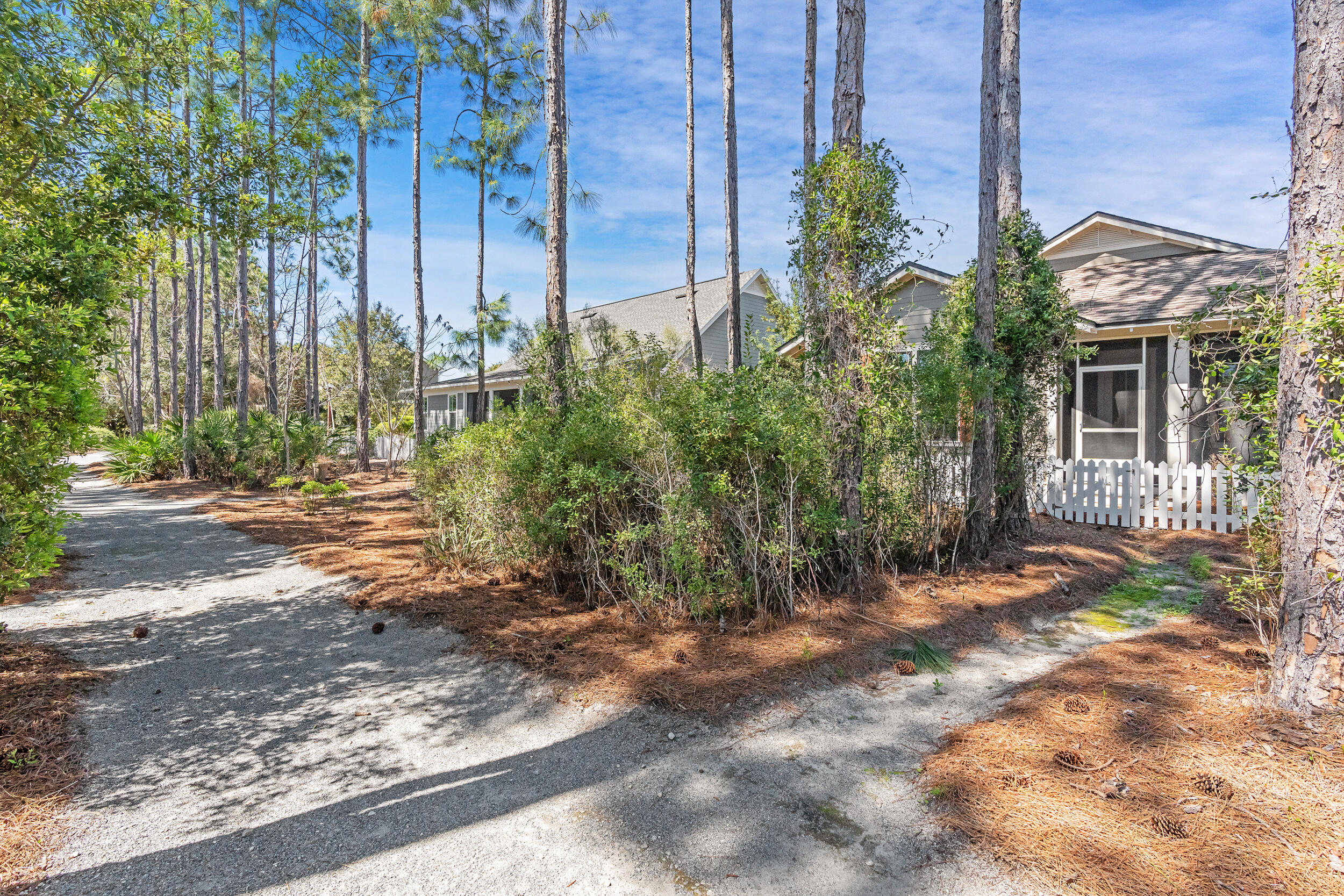 77 Cannonball Lane, Unit LOT (174) Inlet Beach, FL 32461 - Photo 35 of 46 a view of a house with a tree
