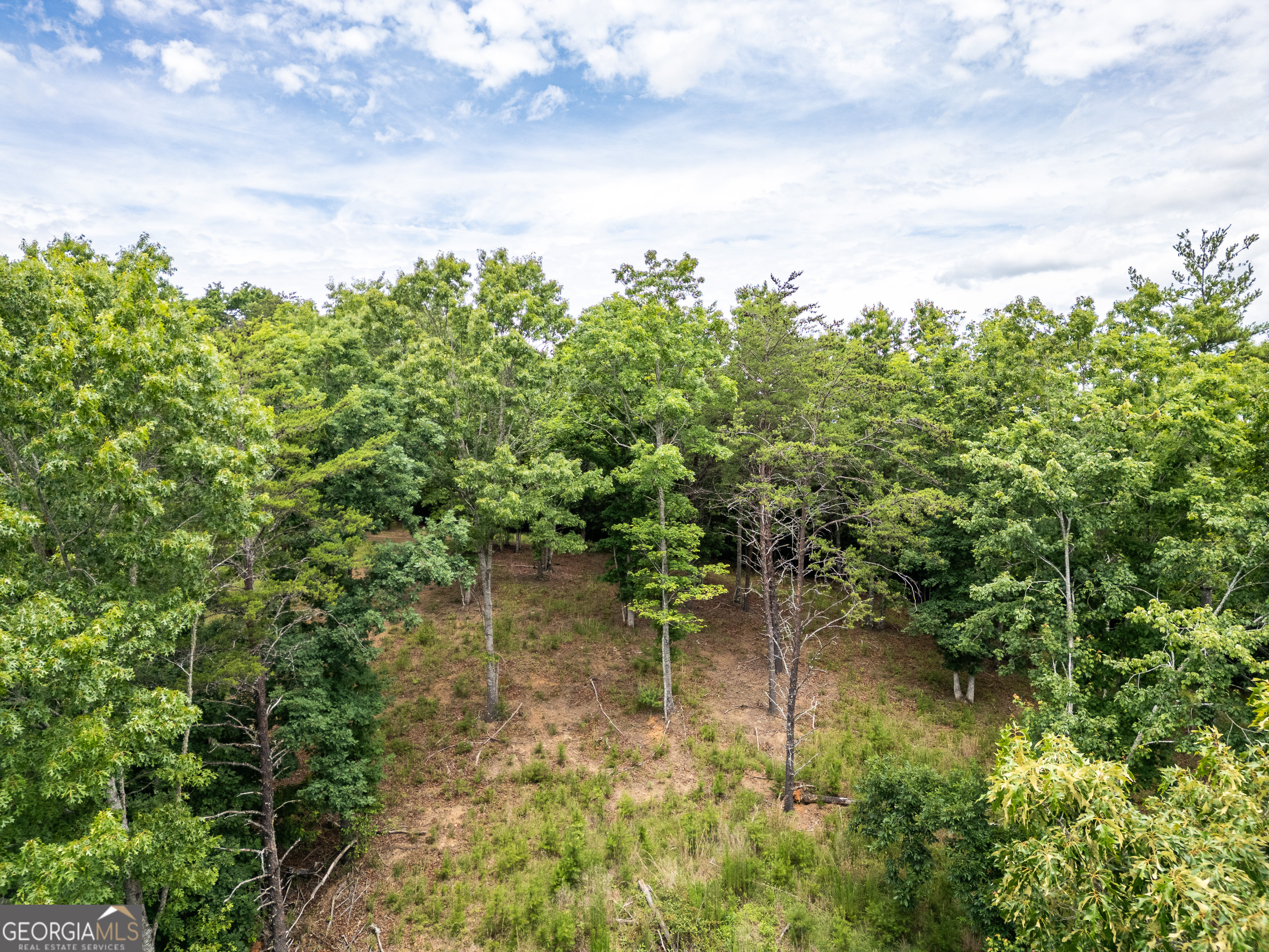 1 Stormy Ridge Brasstown, NC 28902 - Photo 13 of 20