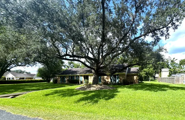 a view of house with a garden