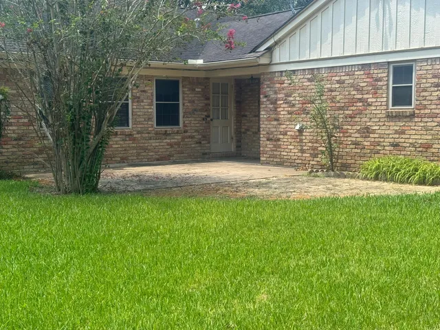 a view of backyard with tree
