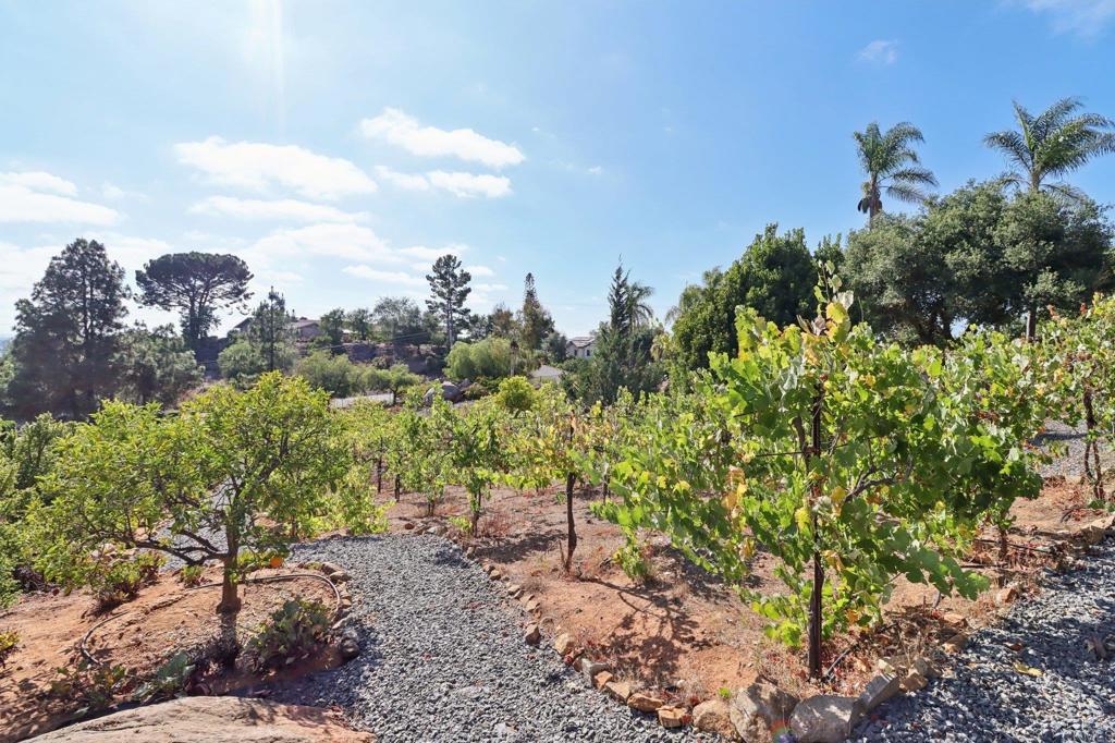 2073 Elevado Road Vista, CA 92084 - Photo 57 of 73