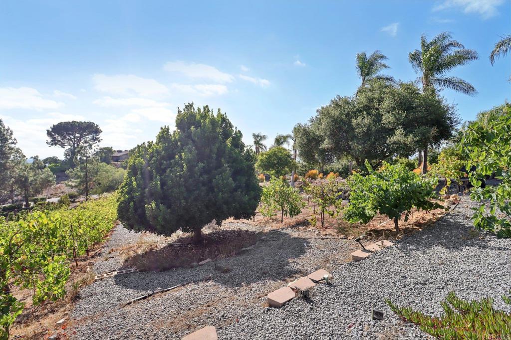 2073 Elevado Road Vista, CA 92084 - Photo 58 of 73