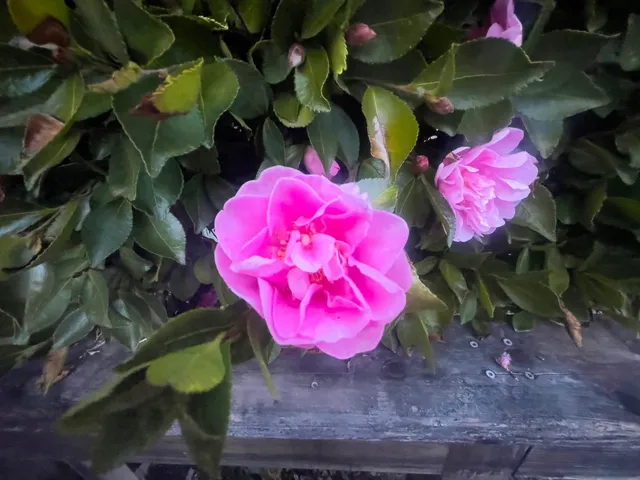 $355,000 | 20085 Woodbury Drive, Grass Valley, CA 95949