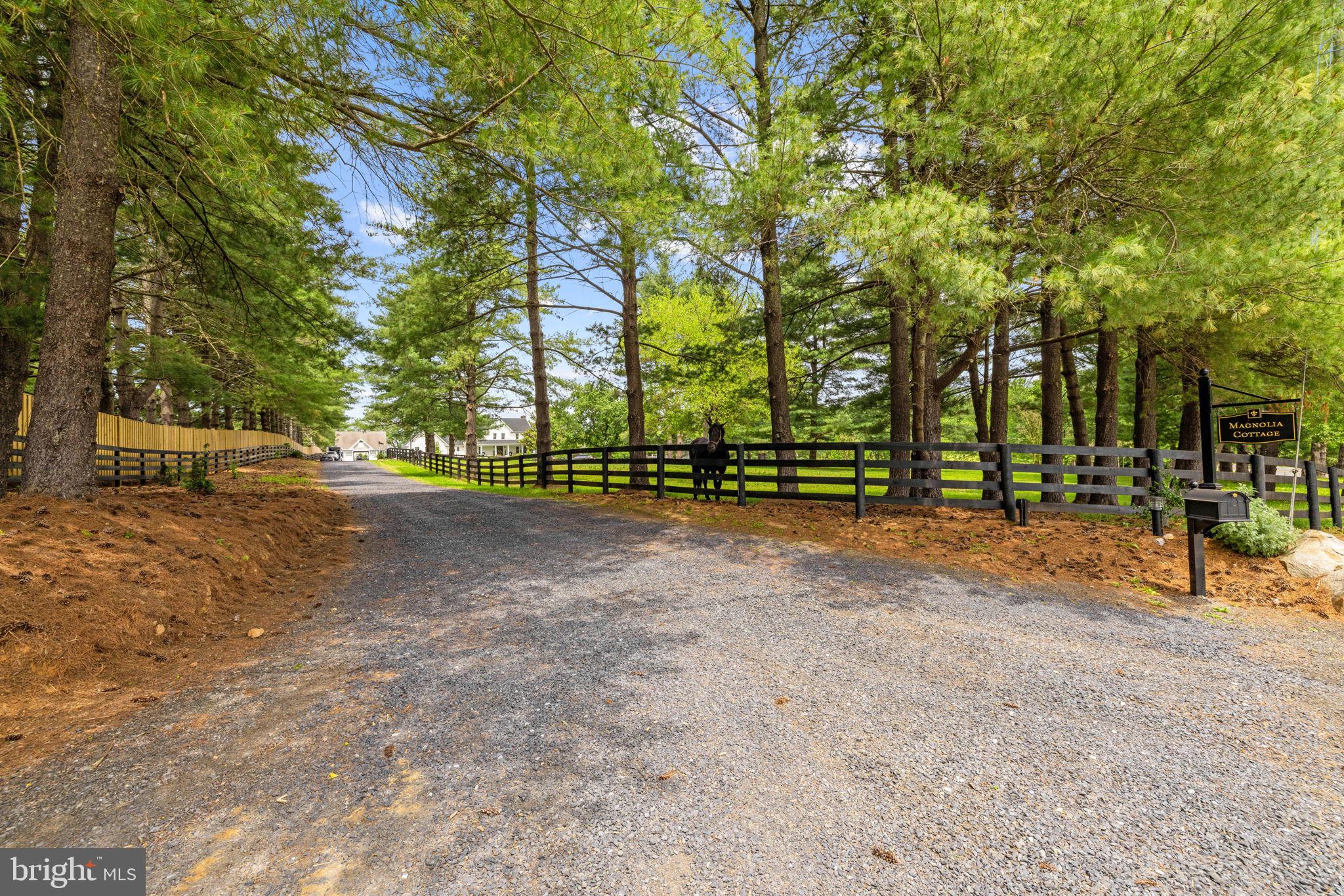 21185 St Louis Road Middleburg, VA 20117 - Photo 82 of 83