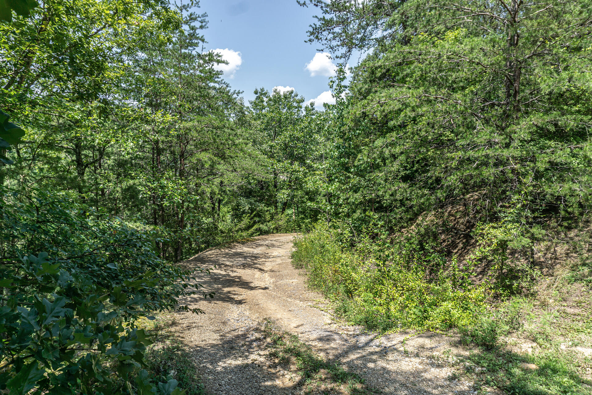 420 Old Cemetery Road, Unit 16 Greeneville, TN 37745 - Photo 2 of 29 420OldCemeteryC_001